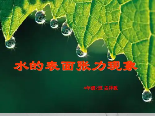 水的表面张力20150602