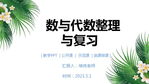小学五年级数学下册课件数与代数总复习PPT课件