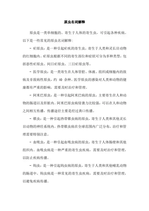 原虫名词解释