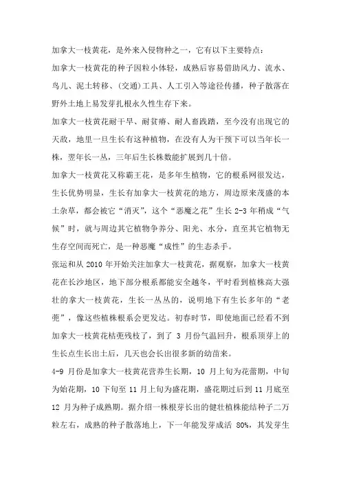加拿大一枝黄花有多厉害,许多人都不知道,一株就能灭30个物种