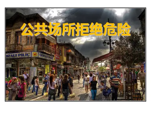 《公共场所拒绝危险》安全地生活课件2
