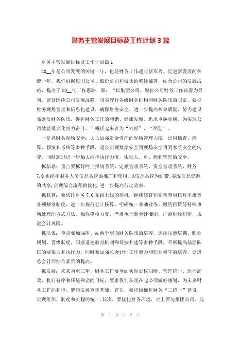 财务主管发展目标及工作计划3篇