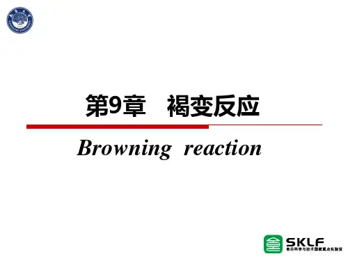 食品化学9-第9章--褐变反应 (1).ppt