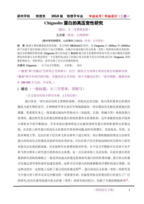 物理系毕业论文格式模板示例