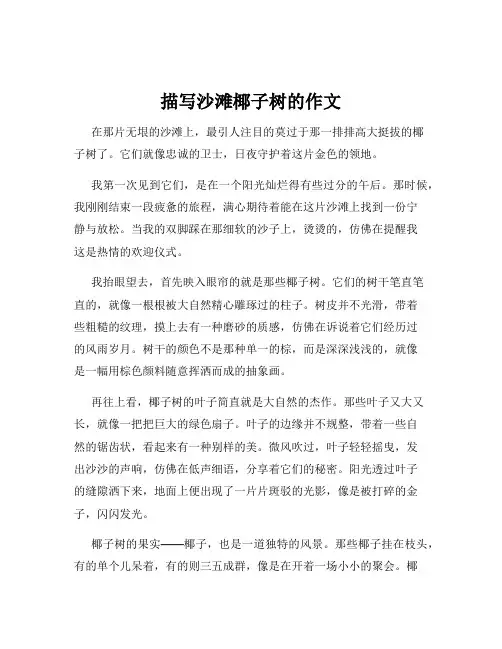 描写沙滩椰子树的作文