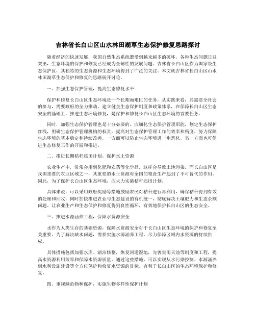 吉林省长白山区山水林田湖草生态保护修复思路探讨