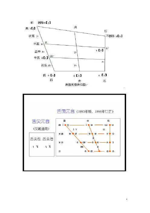 现代说话舌位图及口腔图