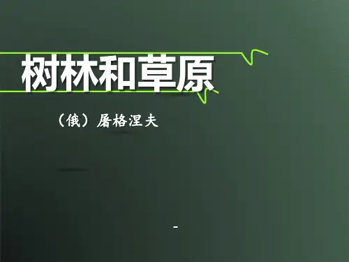 202X秋语文版语文七上第12课《树林和草原》ppt课件