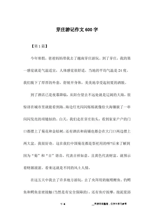 芽庄游记作文600字