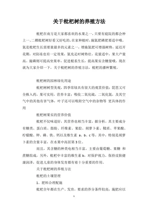 关于枇杷树的养殖方法