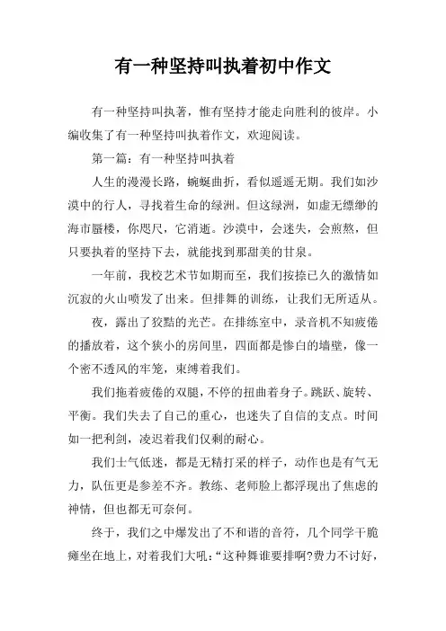 有一种坚持叫执着初中作文