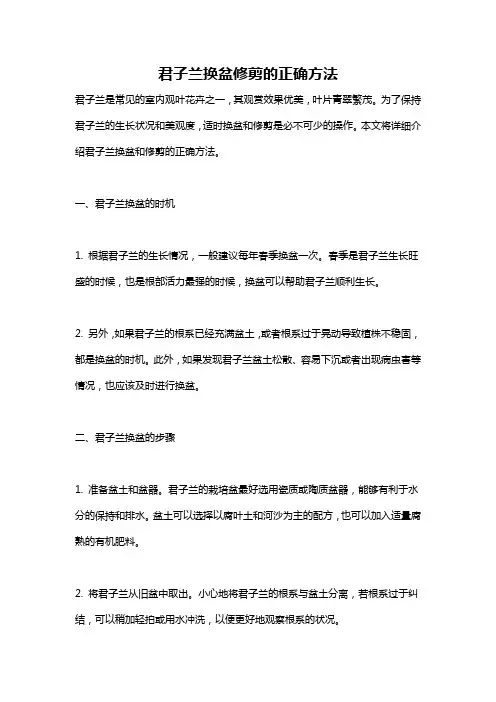 君子兰换盆修剪的正确方法