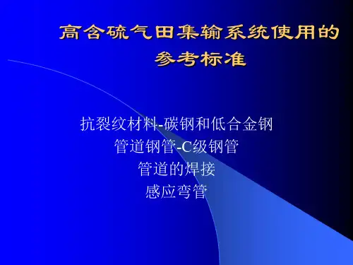 高含硫气田集输系统使用
