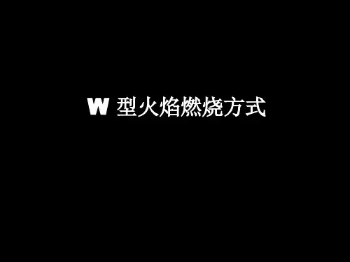 锅炉原理 W 型火焰燃烧方式