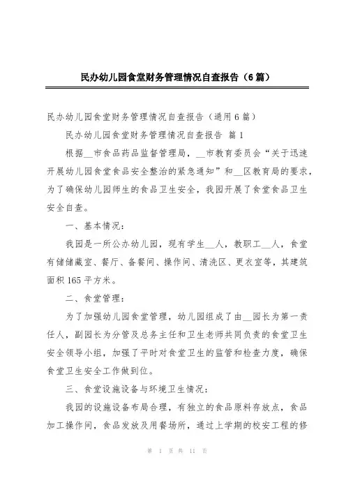 民办幼儿园食堂财务管理情况自查报告(6篇)