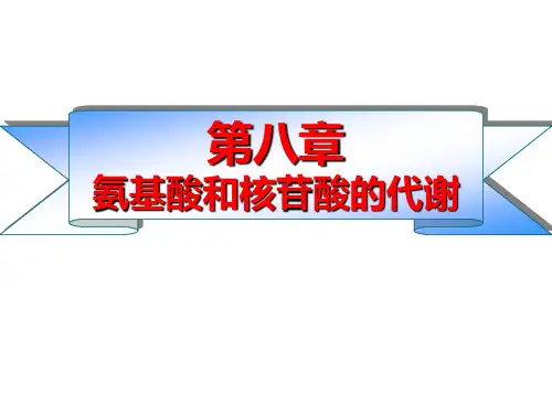 第八章 氨基酸代谢for graduates candidates