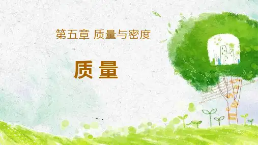 《质量》质量与密度PPT优秀课件