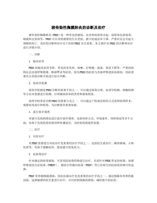猪传染性胸膜肺炎的诊断及治疗