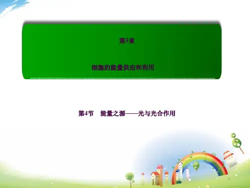 人教版高一生物必修一光合作用ppt课件