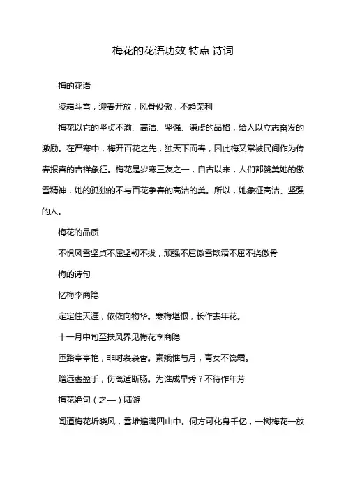 梅花的花语功效 特点 诗词