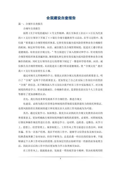合规建设自查报告