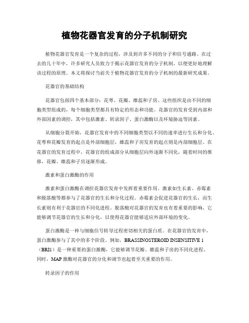 植物花器官发育的分子机制研究
