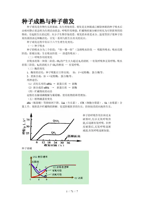 种子成熟与种子萌发
