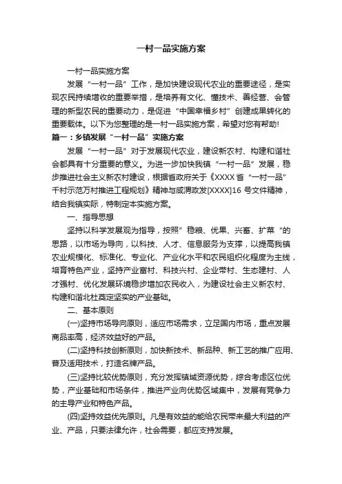 一村一品实施方案