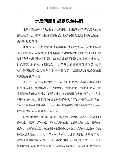 水质问题引起罗汉鱼头洞