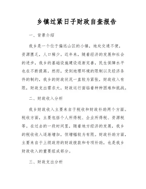 乡镇过紧日子财政自查报告