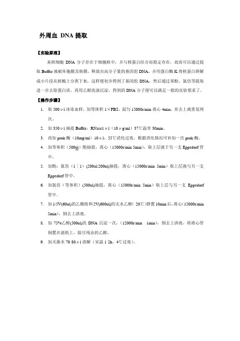 DNA的提取及电泳检测