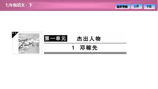 2020春(贵州)人教部编版语文七年级下册图片版同步习题课件-第一单元  1  邓稼先