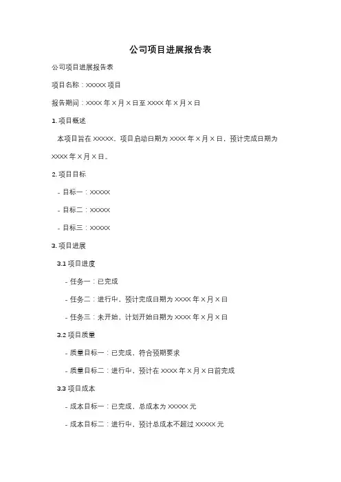 公司项目进展报告表