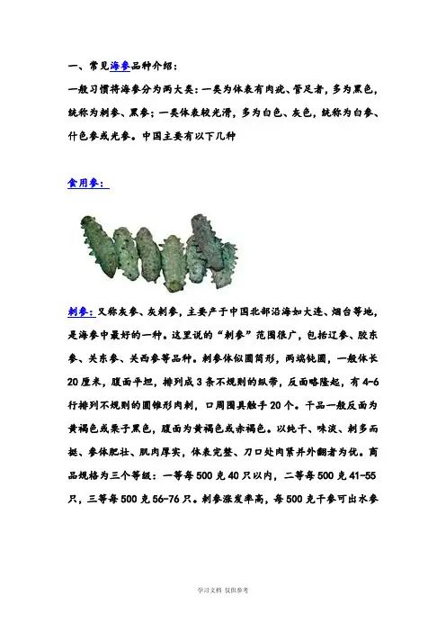 常见海参品种介绍(附图)