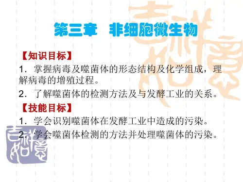 烈性噬菌体的繁殖过程一般分为五个阶段