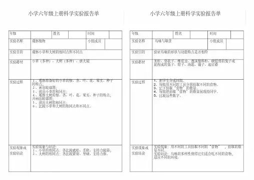 小学科学六年级上册实验报告单