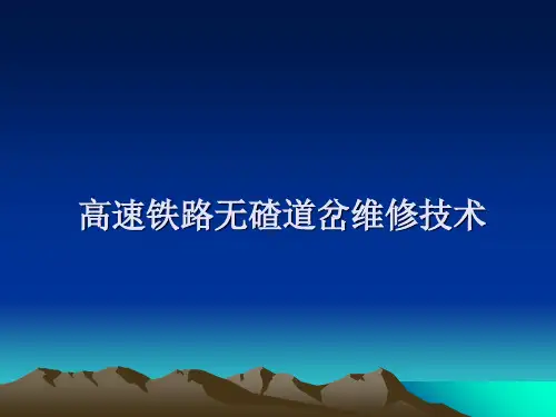 高速铁路无碴道岔讲义22精品PPT课件