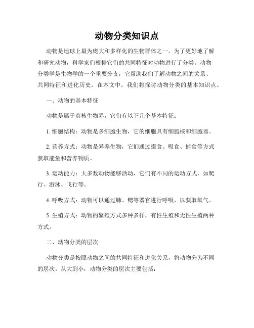 动物分类知识点
