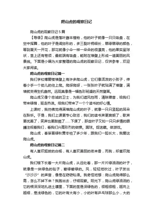 爬山虎的观察日记5篇