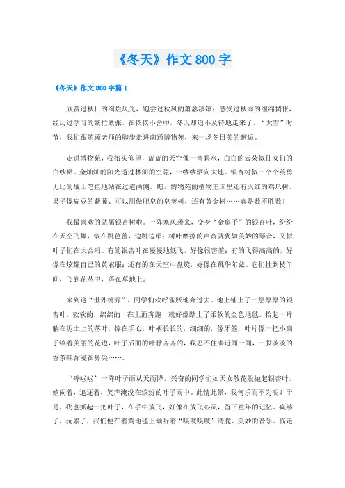 《冬天》作文800字