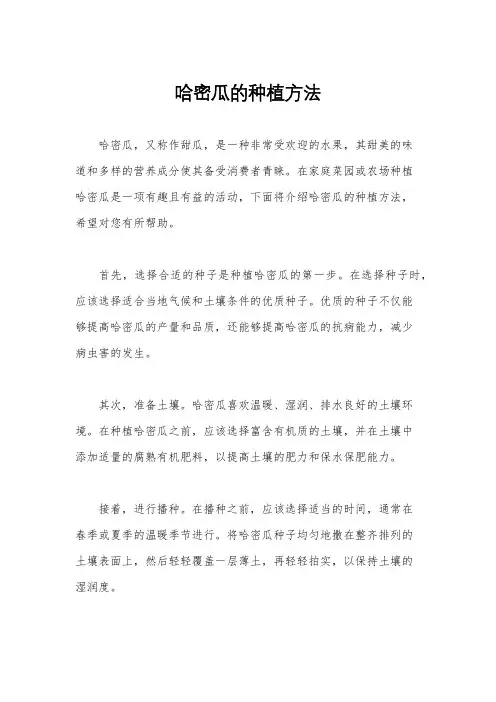哈密瓜的种植方法
