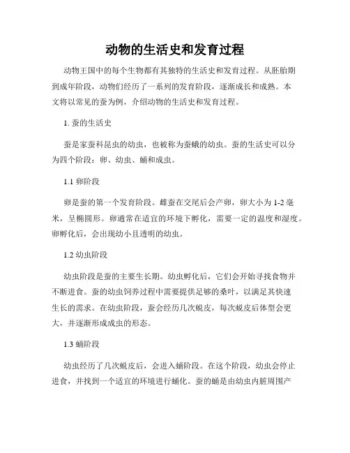 动物的生活史和发育过程