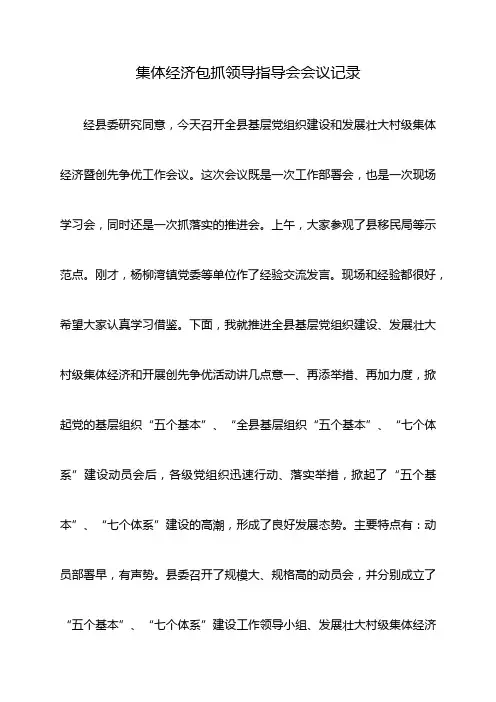 集体经济包抓领导指导会会议记录