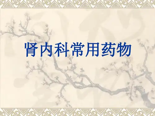 肾内科常用药物