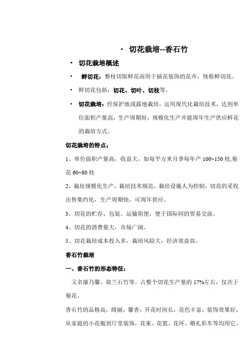 切花栽培--香石竹 教案