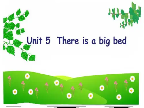 小学英语人教版(PEP)五年级上册Unit 5 There is a big bed