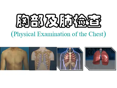 胸部及肺查体1