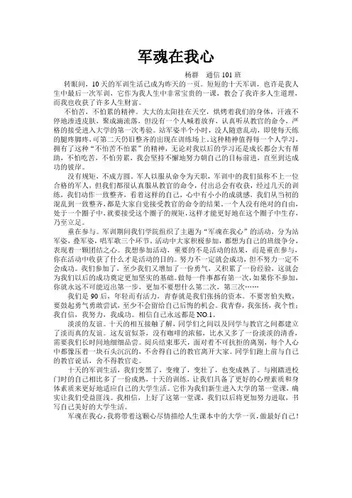 军魂在我心