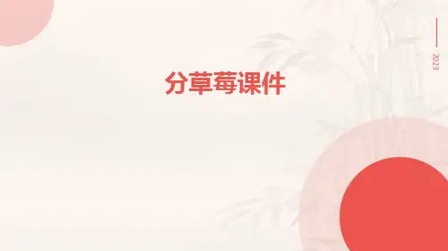 分草莓课件