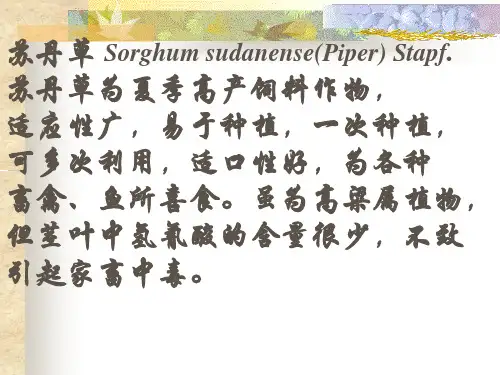 饲草生产学  禾本科牧草
